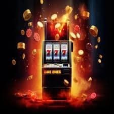 p11 bet